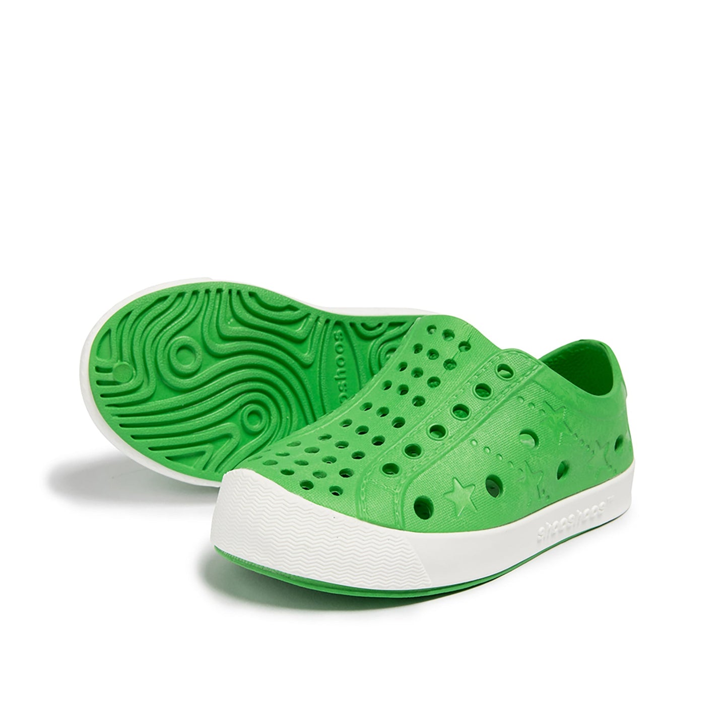 Shooshoos Timbukto