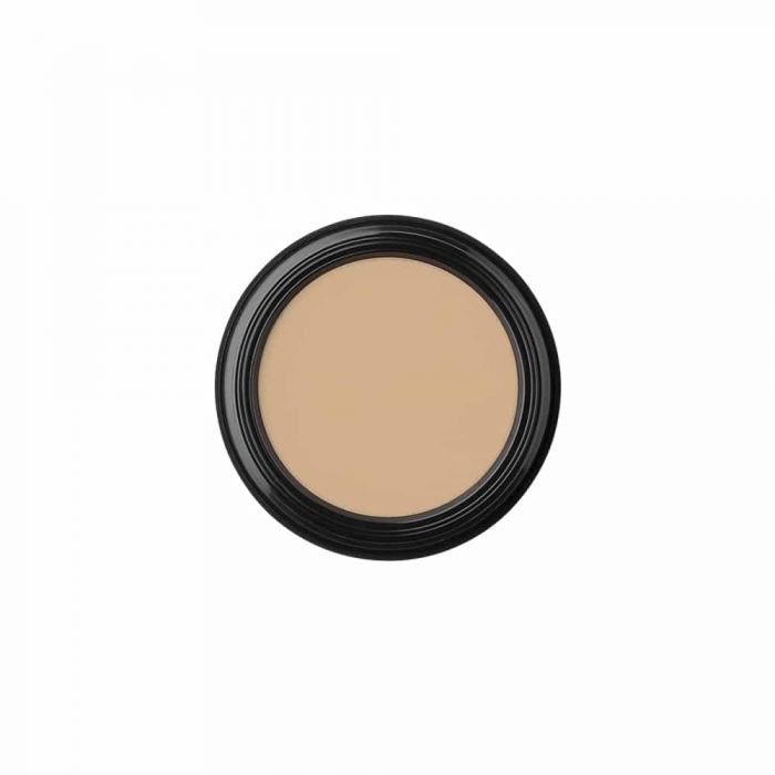 glo Skin Beauty Camouflage Oil Free