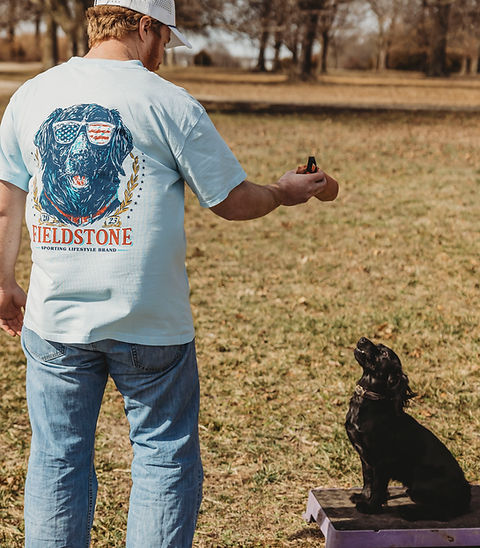 Flag Shades Lab Tee
