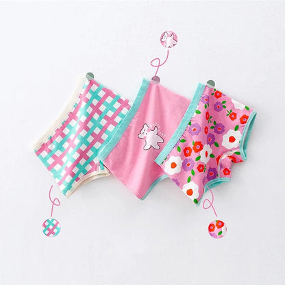 BR-Panties / 2XL(22.5-32.5kg) Underwear