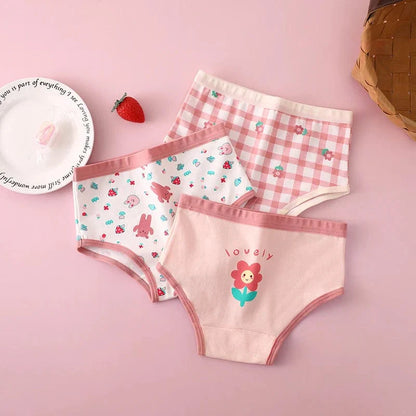 FW-Briefs / XL(17.5-22.5kg) Underwear