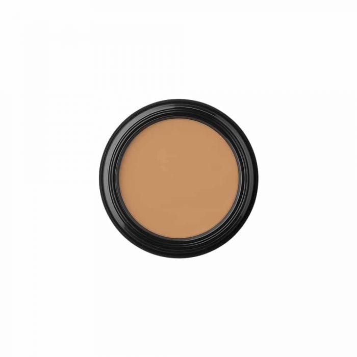 glo Skin Beauty Camouflage Oil Free