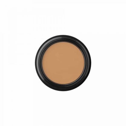 glo Skin Beauty Camouflage Oil Free